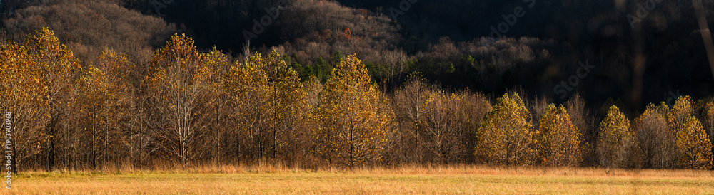 Fototapeta premium Panorama of Yellow and Orange Fall Trees in Nelson County, Virginia