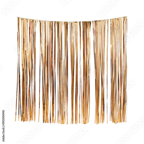 Decorative Fringe Curtain Placed at a Party Venue for Celebration in the Evening
