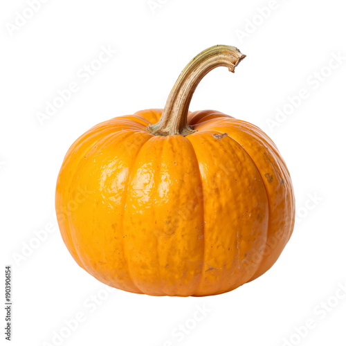 Pumpkin Sitting on a White Backdrop During Autumn Season in a Simple Setting