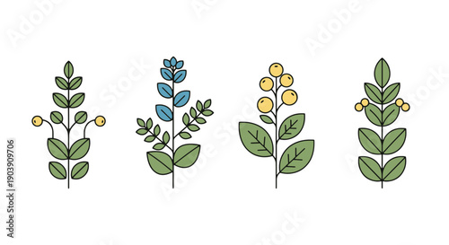 Herbal Plant Line art high quality