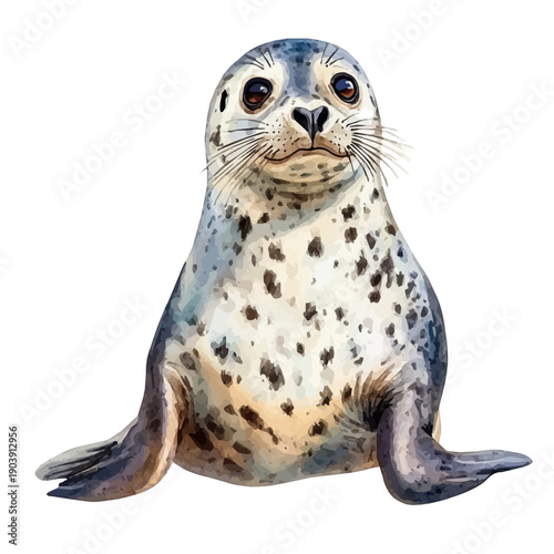 Harbor Seal, serene watercolor vector artwork with smooth washes of color and refined textures, isolated on a white background.