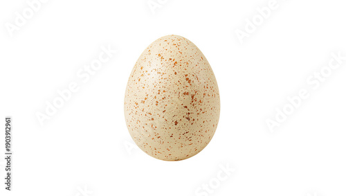 Unique Spotted Egg on a Plain Background in a Simple Display Setup