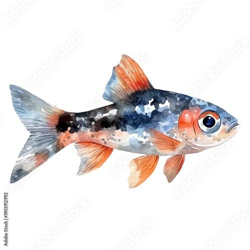 Guppy Fish, playful watercolor vector painting with subtle shadowing and soft gradients, isolated on a white background.