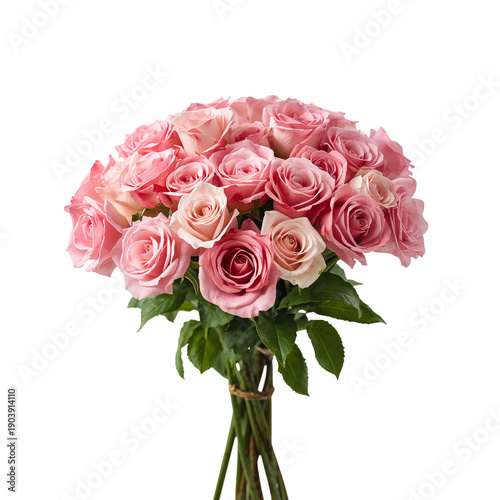 Bouquet of Pink Roses Held in Hand at a Bright Indoor Setting During the Day