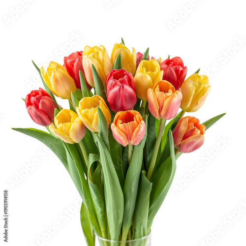Colorful Tulips Arranged in a Vase on a White Background for Spring Decoration