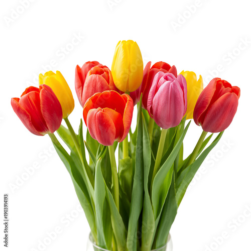 Colorful Tulips Arranged in a Vase on a White Background for Spring Decoration
