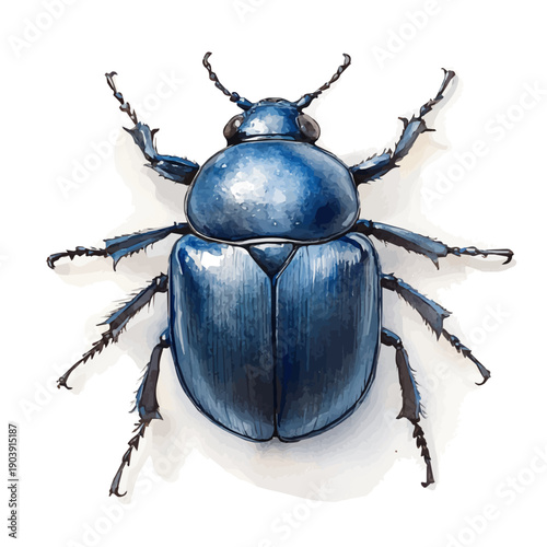 Dung Beetle, playful watercolor vector painting with subtle shadowing and soft gradients, isolated on a white background.