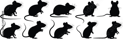 Mouse and rat silhouettes collection, black rodent animal poses, vector illustration set isolated on white background
