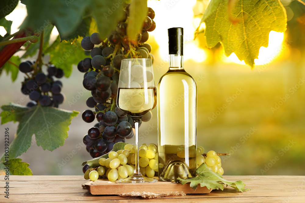 Fototapeta premium Wine and fresh grapes on table. Glass and bottle in vineyard