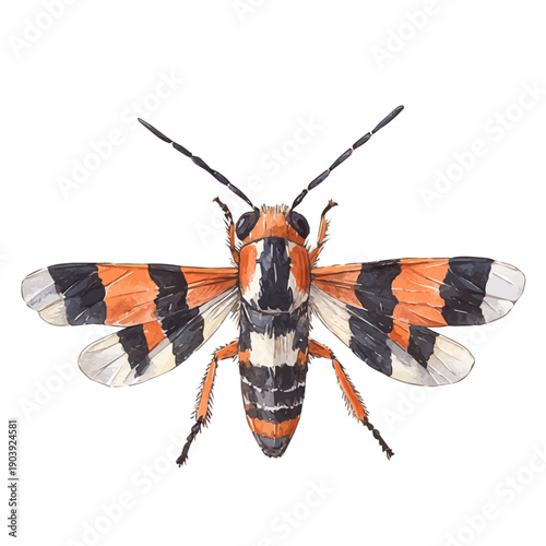 watercolor painting of Thrips graphic, isolated on a white background.