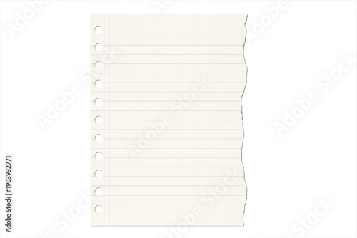 Lined notebook paper torn with holes, transparent background