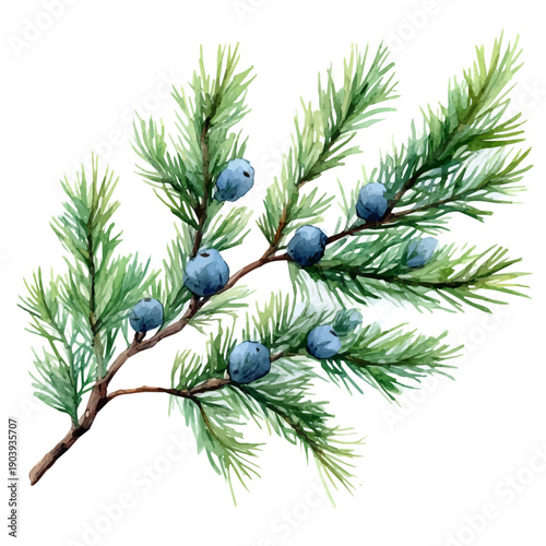 Artemisia Branch, watercolor vector portraying a joyful pose with colorful highlights, isolated on a white background.