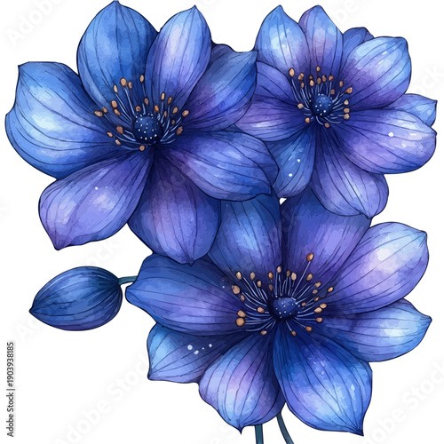 Anemone Branch, watercolor painting capturing graceful lines and soft blended shades, isolated on a white background.