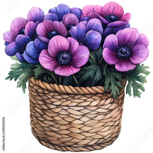 Anemone Bouquet In A Basket, watercolor vector portraying a joyful pose with colorful highlights, isolated on a white background.