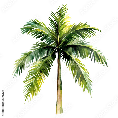 Triangle Palm High Quality, watercolor artwork with intricate patterns and vibrant, isolated on a white background.