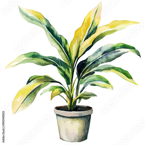 Ti Plant High Quality, watercolor illustration featuring soft shadows and luminous, isolated on a white background.