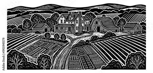 Hand drawn line art illustration of a farm depicting a rural landscape with a house, barn, and fields for country living