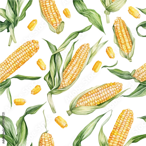 watercolor of Sweet Corn High Quality draw graphic, isolated on a white background.