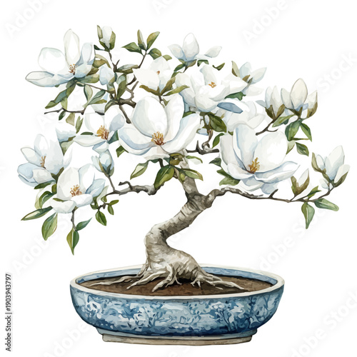 Star Magnolia Bonsai, watercolor illustration featuring soft shadows and luminous, isolated on a white background.