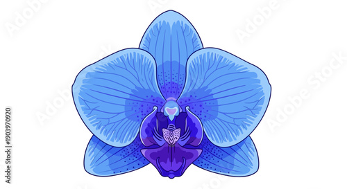 Blue Orchid Flower Closeup Detailed View.