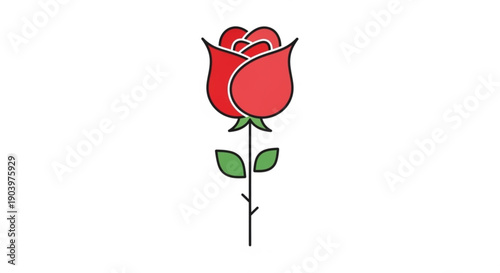 Beautiful red rose with green leaves illustration