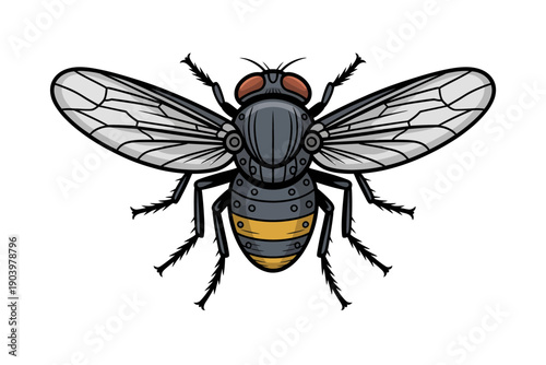 A detailed vector illustration of a fly with transparent wings and a yellow and gray body