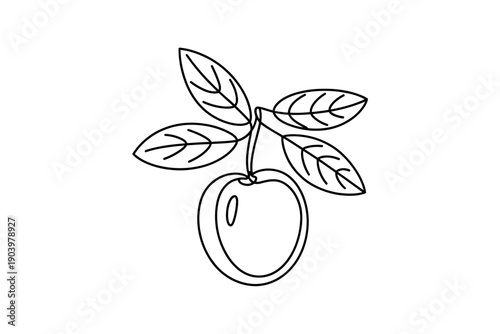 A minimalist line art illustration of a single apple with leaves on a transparent background
