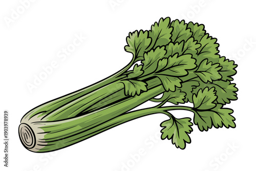A vibrant green bunch of fresh cilantro or coriander leaves and stems, illustrated in a simple and colorful vector graphic style.