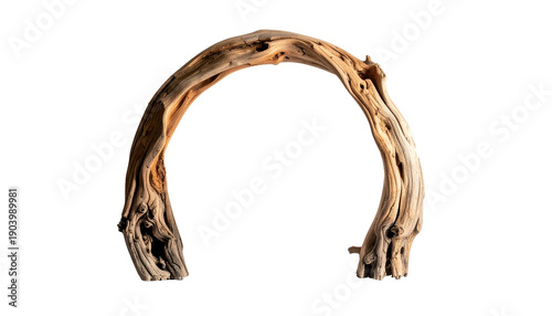 Arched, weathered driftwood against a black backdrop, showcasing natural wood textures