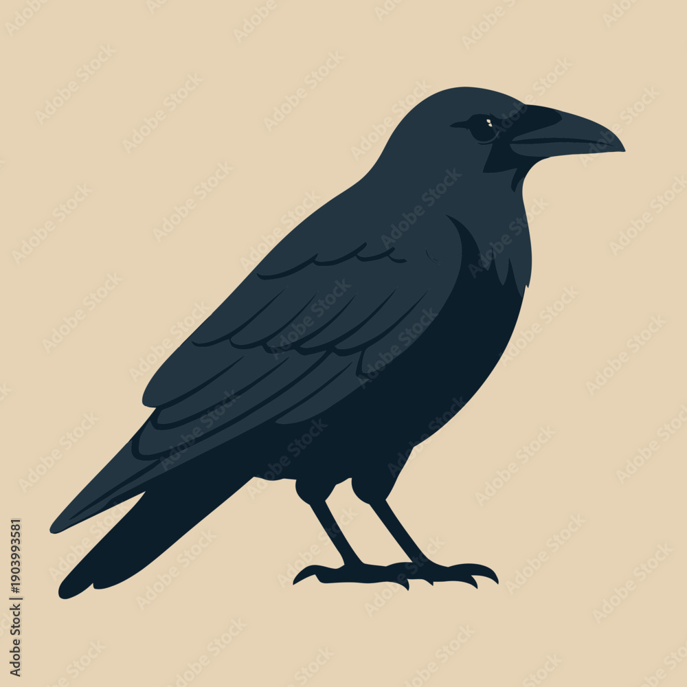 Fototapeta premium Flat vector illustration of a raven perched