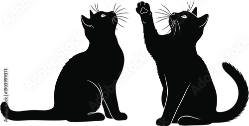 Black silhouettes of two cute cats sitting and playing with raised paw, vector illustration isolated on white background.