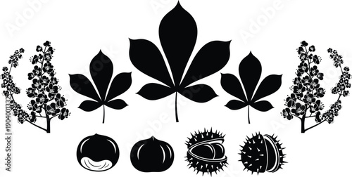 Black silhouette collection of horse chestnut leaves, blossoms, and seeds in husks isolated on white background for autumn nature designs