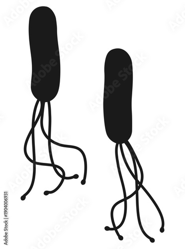 ピロリ菌シルエット