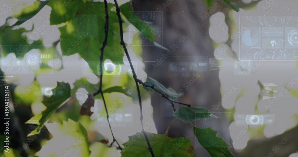 Fototapeta premium Displaying thin diagonal branch showing brown-edged leaf with veins in canopy, with HUD and bokeh
