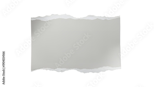 Wallpaper Mural Rectangular Torn Piece of Light Grey Paper with Rough Edges, Empty Blank Note Texture Torontodigital.ca