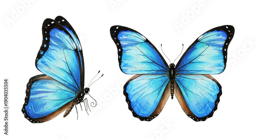 Watercolor Illustration of Two Vibrant Blue Butterflies One with Open Wings and One from Side View