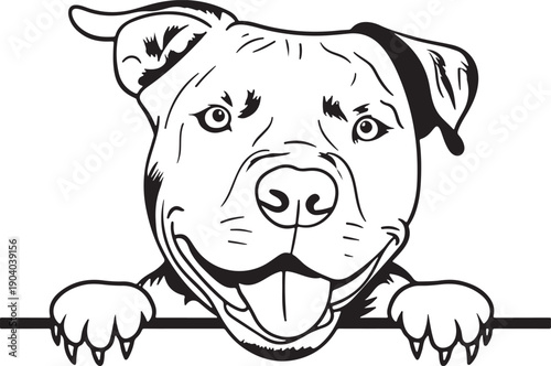 A cheerful pit bull terrier peeks over a black line