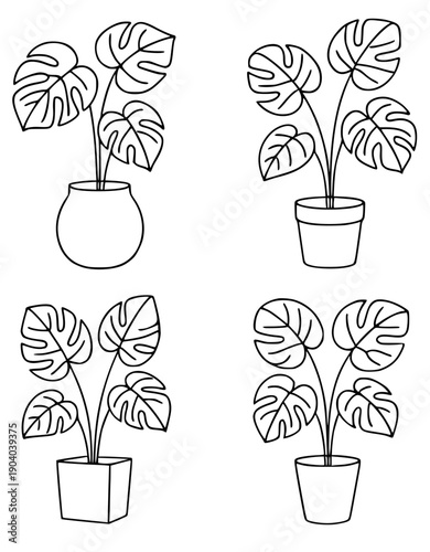 Plant icons, 4 vector illustrations of monstera in pots, in outline design style