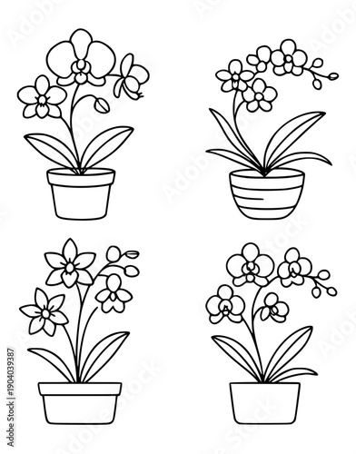Plant icons, 4 vector illustrations of orchid flowers in pots, in outline design style