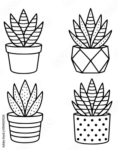 Plant icons, 4 vector illustrations of haworthia in pots, in outline design style