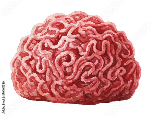 Fresh Raw Ground Meat Mince for Cooking Watercolor Illustration Isolated on White Background