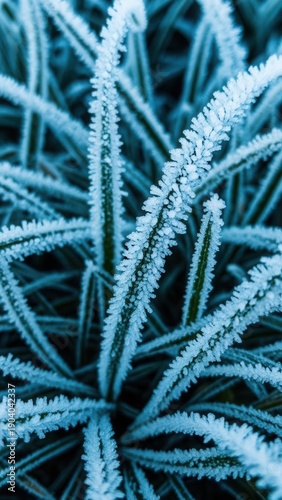 Winter Frost Accents Delicate Green Blades Close Up Natural Ice Formation