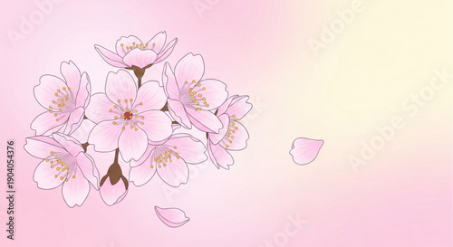 Delicate pink cherry blossoms with petals on soft gradient background