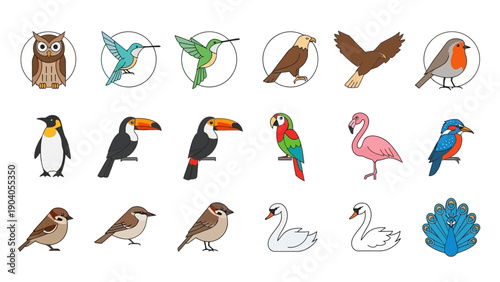 A collection of various cartoon bird illustrations.