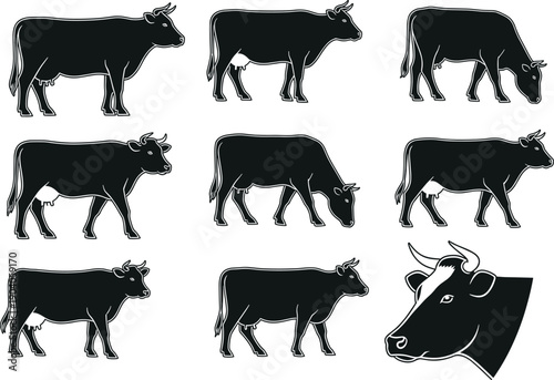 Cow silhouette vector set, black cattle illustration collection, dairy livestock design, farm animal artwork, agriculture graphic elements, rural grazing cows and cow head icon