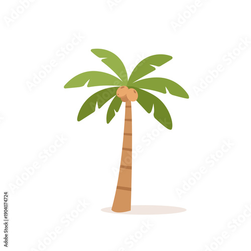 Palm tree with coconuts. Minimalist flat palm tree. Tropical exotic tree. Icon, logo on white background. Vector illustration.