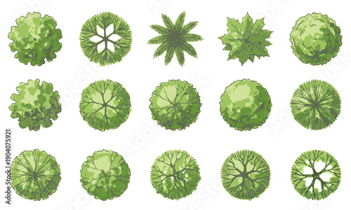 Collection of green tree leaves top view showing various species. Plan view achitechture tree sketching