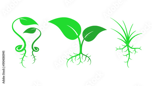 A collection of plant growth icons showing sprout and root development stages.