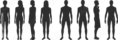 Human body silhouette set showing male and female figures, front side back views, realistic anatomy shapes, vector illustration
