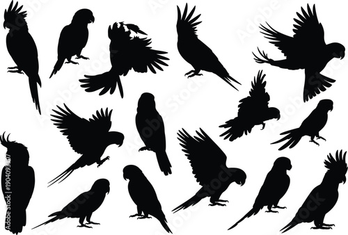 Parrot and cockatoo silhouettes collection, flying and perched tropical birds, black wildlife animal shapes, minimalist nature icons set, isolated on white background